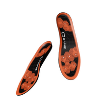 画像をギャラリービューアに読み込む, ORPHE INSOLE β(Evaluation Kit)