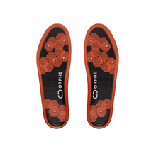 画像をギャラリービューアに読み込む, ORPHE INSOLE β(Evaluation Kit)